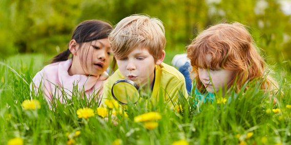 Kinder mit Lupe liegend in einer Wiese